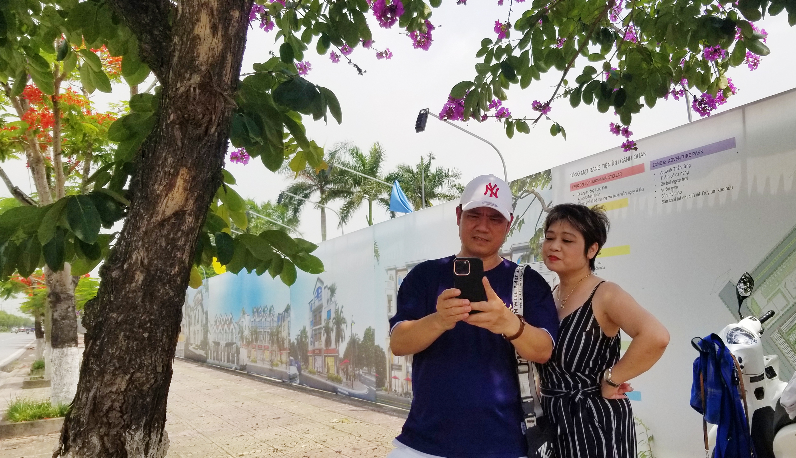 Hải Phòng rực cháy sắc đỏ hoa phượng, tím biếc hoa bằng lăng- Ảnh 11. 2 vị khách trên đường từ Đồ Sơn trở về nội thành Hải Phòng tranh thủ dừng xe trên đường Phạm Văn Đồng chụp ảnh