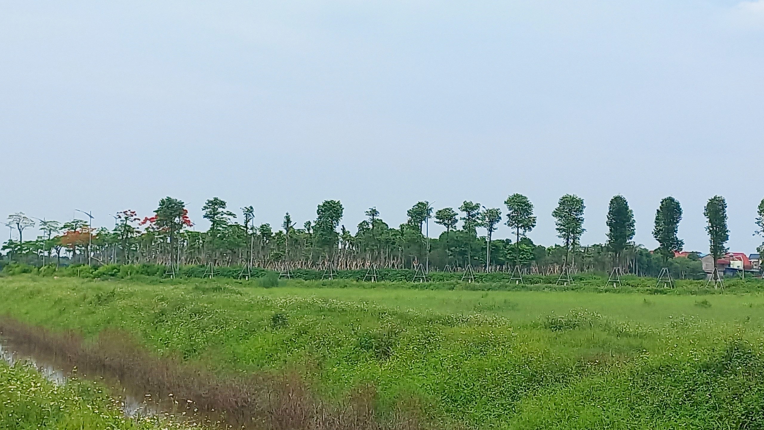 Hiện trạng siêu dự án nham nhở của Hòa Phát vừa bị Thanh tra Chính phủ ‘tuýt còi’- Ảnh 10. Hiện trạng siêu dự án nham nhở của Hòa Phát vừa bị Thanh tra Chính phủ ‘tuýt còi’- Ảnh 10.