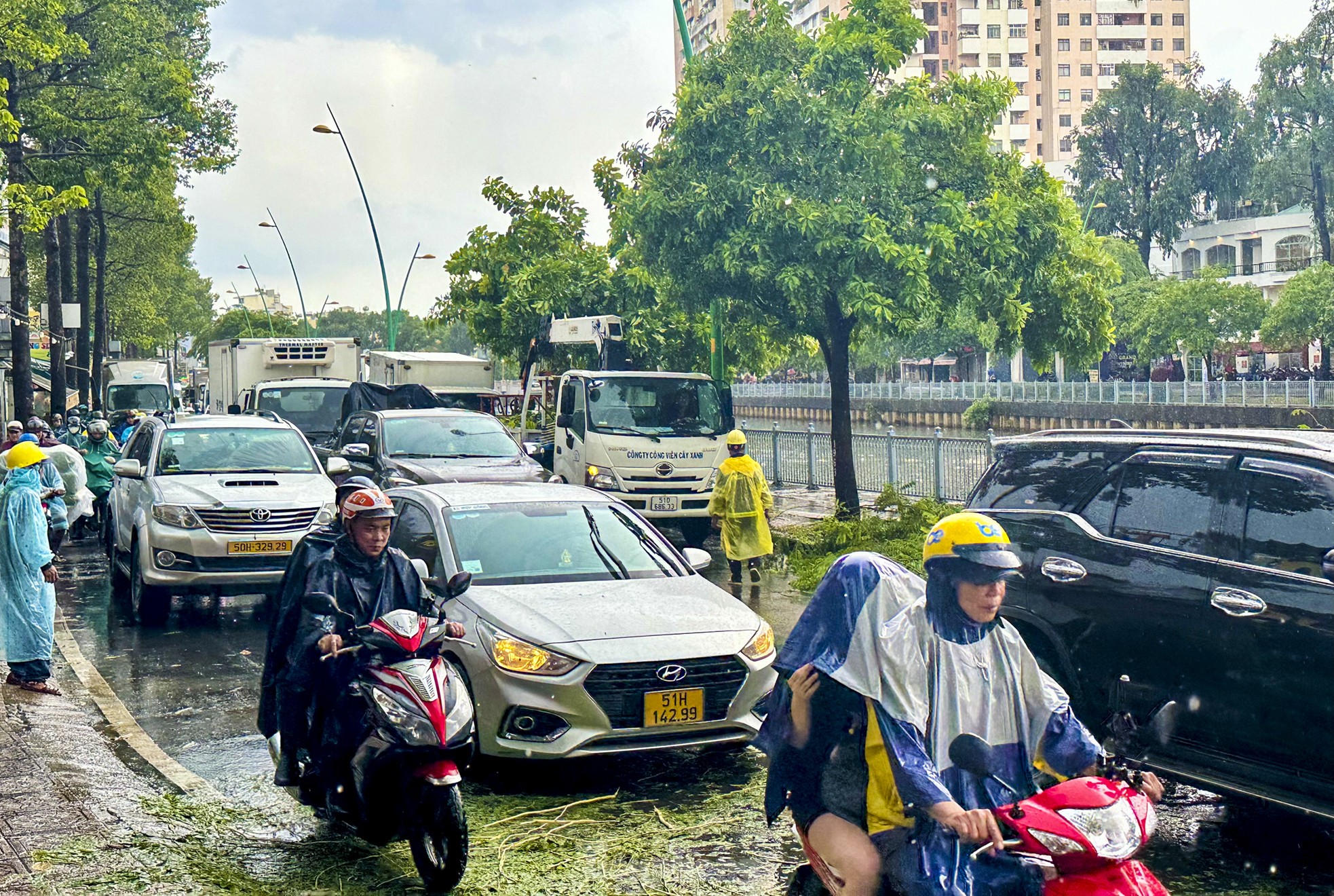 Cây xanh bật gốc, giao thông rối loạn trong cơn mưa lớn chiều nay ở TPHCM ảnh 2
