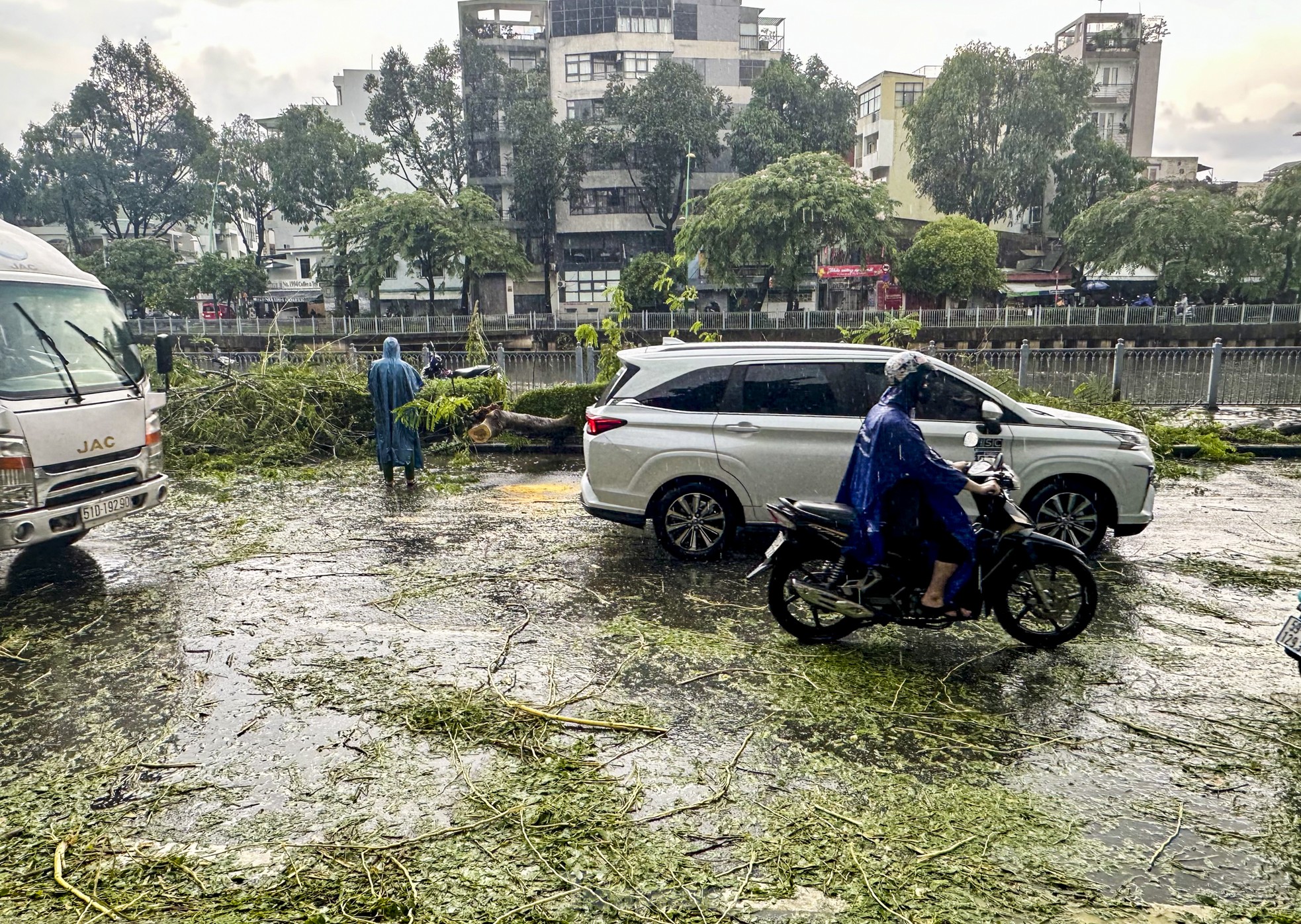 Cây xanh bật gốc, giao thông rối loạn trong cơn mưa lớn chiều nay ở TPHCM ảnh 3