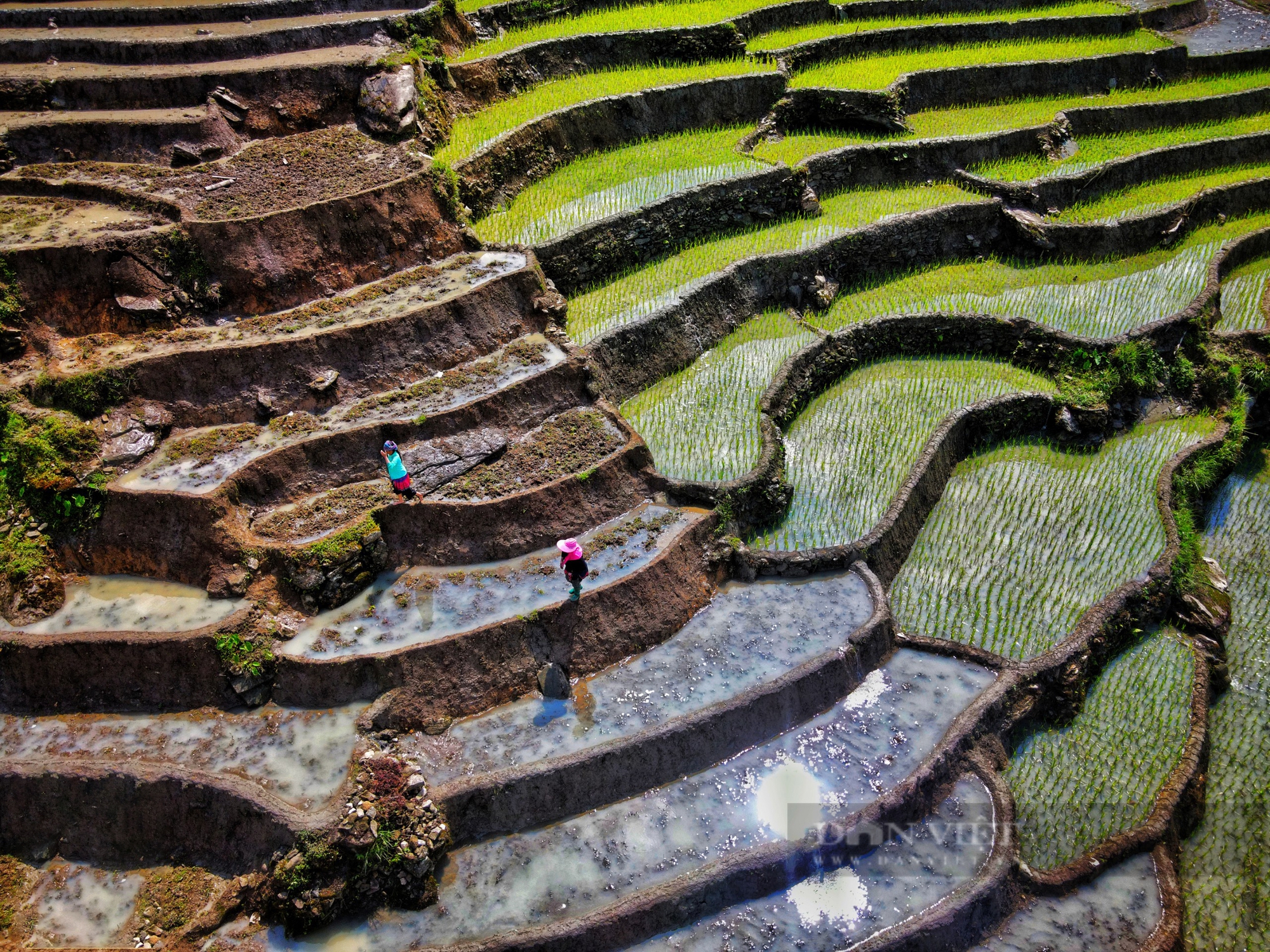 Chiêm ngưỡng vẻ đẹp ruộng bậc thang uốn lượn mùa nước đổ ở vùng cao Y Tý- Ảnh 5. Chiêm ngưỡng vẻ đẹp ruộng bậc thang uốn lượn mùa nước đổ ở vùng cao Y Tý- Ảnh 5.