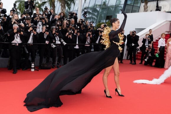 Hoa hậu Hoàn vũ gây chú ý với váy lạ mắt trên thảm đỏ Cannes ảnh 6