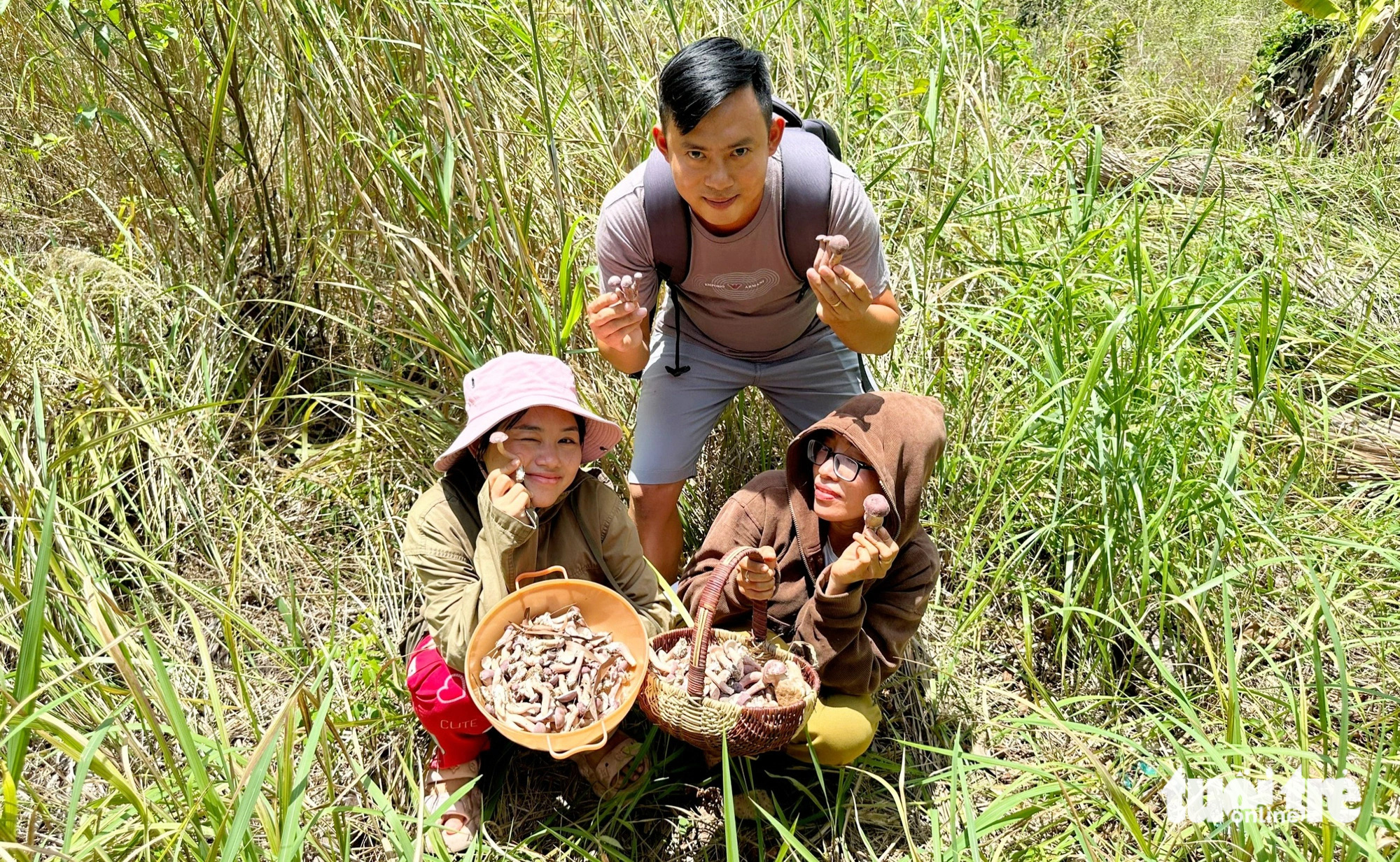 Dân Phú Quốc săn nấm tràm bán kiếm tiền triệu- Ảnh 4. Người dân Phú Quốc tranh thủ đi 'săn' nấm tràm về ăn - Ảnh: CHÍ CÔNG