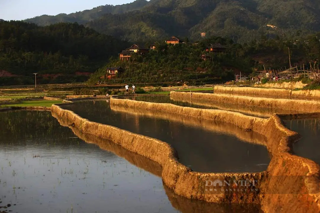 Nông dân đi cấy trên những cánh đồng đẹp như tranh vẽ ở Mù Cang Chải khi mùa nước đổ - Ảnh 4. Nông dân đi cấy trên những cánh đồng đẹp như tranh vẽ ở Mù Cang Chải khi mùa nước đổ - Ảnh 4.