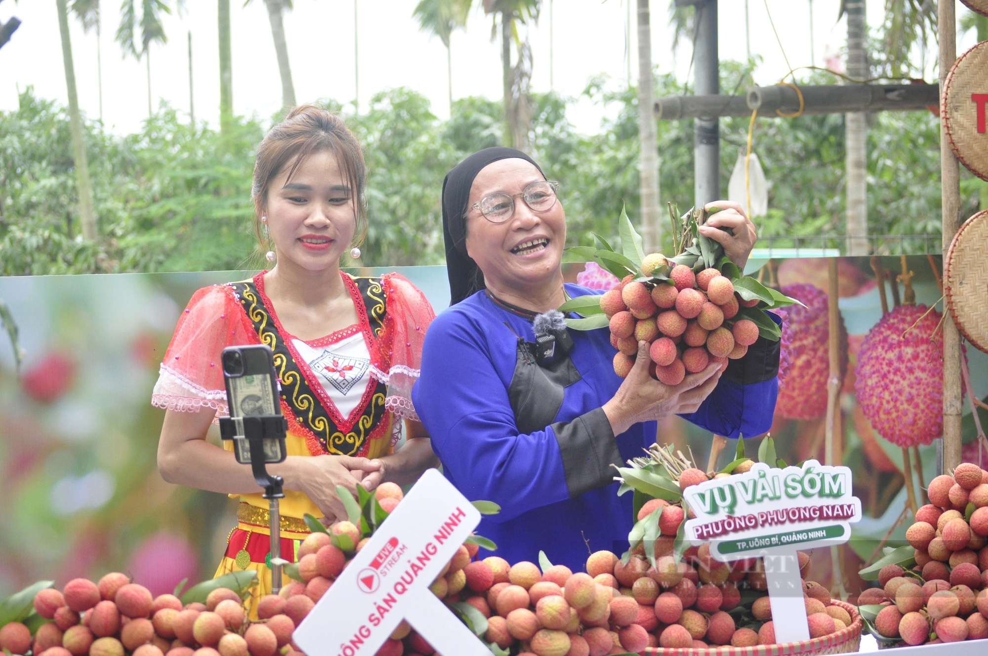 Sản lượng giảm, nông dân ở Quảng Ninh trồng loại vải to như quả trứng, ăn ngọt mát vẫn phấn khởi vì điều này- Ảnh 6. Sản lượng giảm, nông dân ở Quảng Ninh trồng loại vải to như quả trứng, ăn ngọt mát vẫn phấn khởi vì điều này- Ảnh 6.