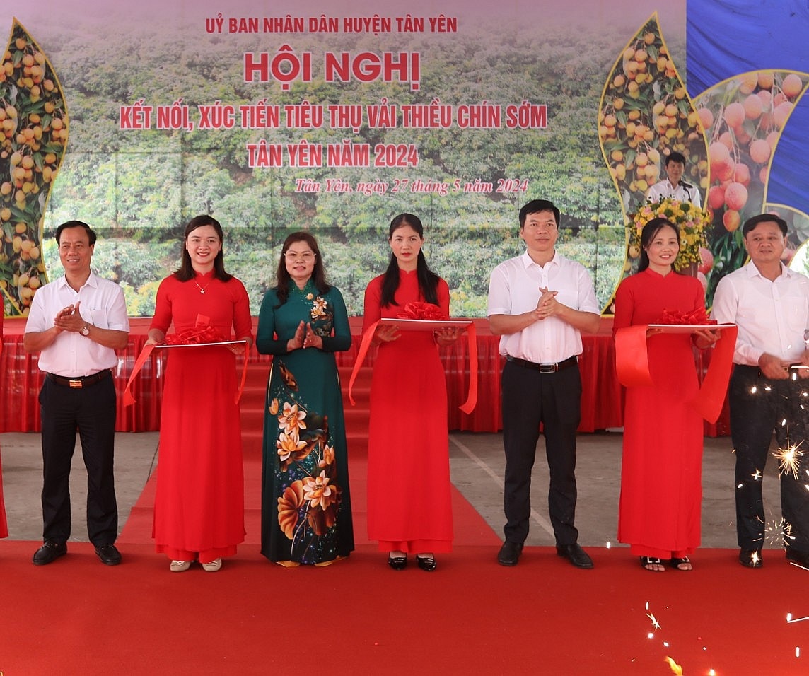 Bắc Giang: Xúc tiến tiêu thụ vải thiều chín sớm huyện Tân Yên