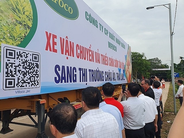 Bắc Giang: Xúc tiến tiêu thụ vải thiều chín sớm huyện Tân Yên