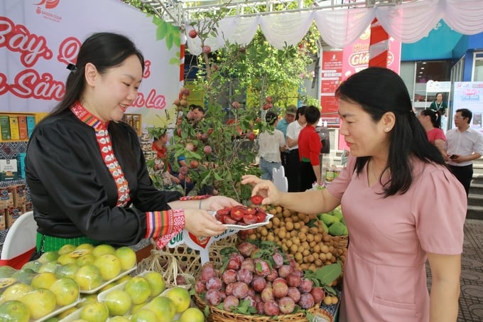 z5477095446305_ff13d675b946776c92b9e800f9d1c2f5-131049_394.jpg Mận hậu Sơn La được nhiều khách hàng quan tâm và thưởng thức.