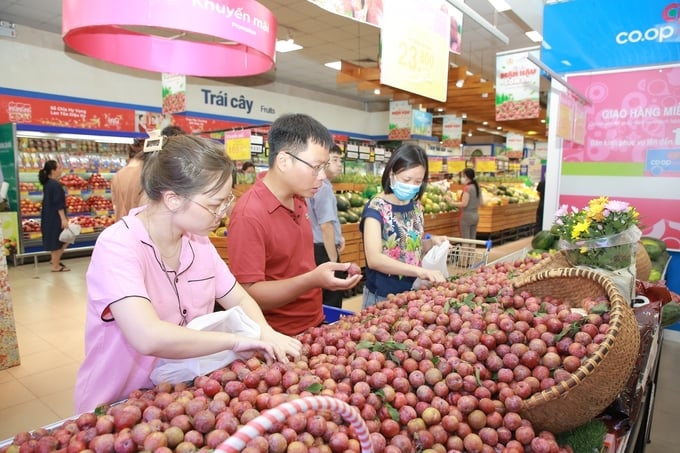 coopmart-khai-mac-le-hoi-man-hau-va-nong-san-son-la-132005_360.jpg Khách hàng chọn mua mận hậu Sơn La trong siêu thị Co.opmart.