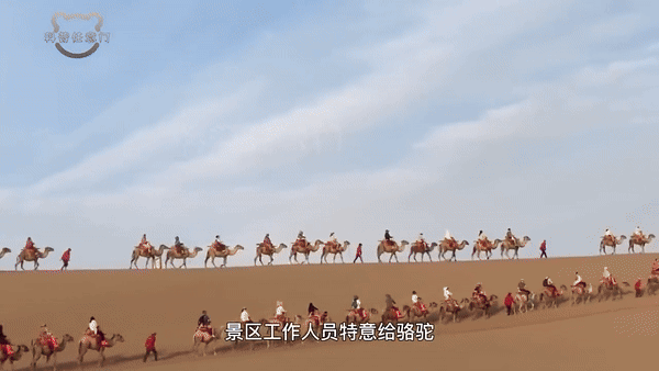 Lắp đèn đỏ giữa sa mạc tránh kẹt” lạc đà, du khách vẫn điêu đứng vì tắc đường: 5 phút nhích được 2 bước! - Ảnh 3. Lắp đèn đỏ giữa sa mạc tránh kẹt” lạc đà, du khách vẫn điêu đứng vì tắc đường: 5 phút nhích được 2 bước! - Ảnh 3.