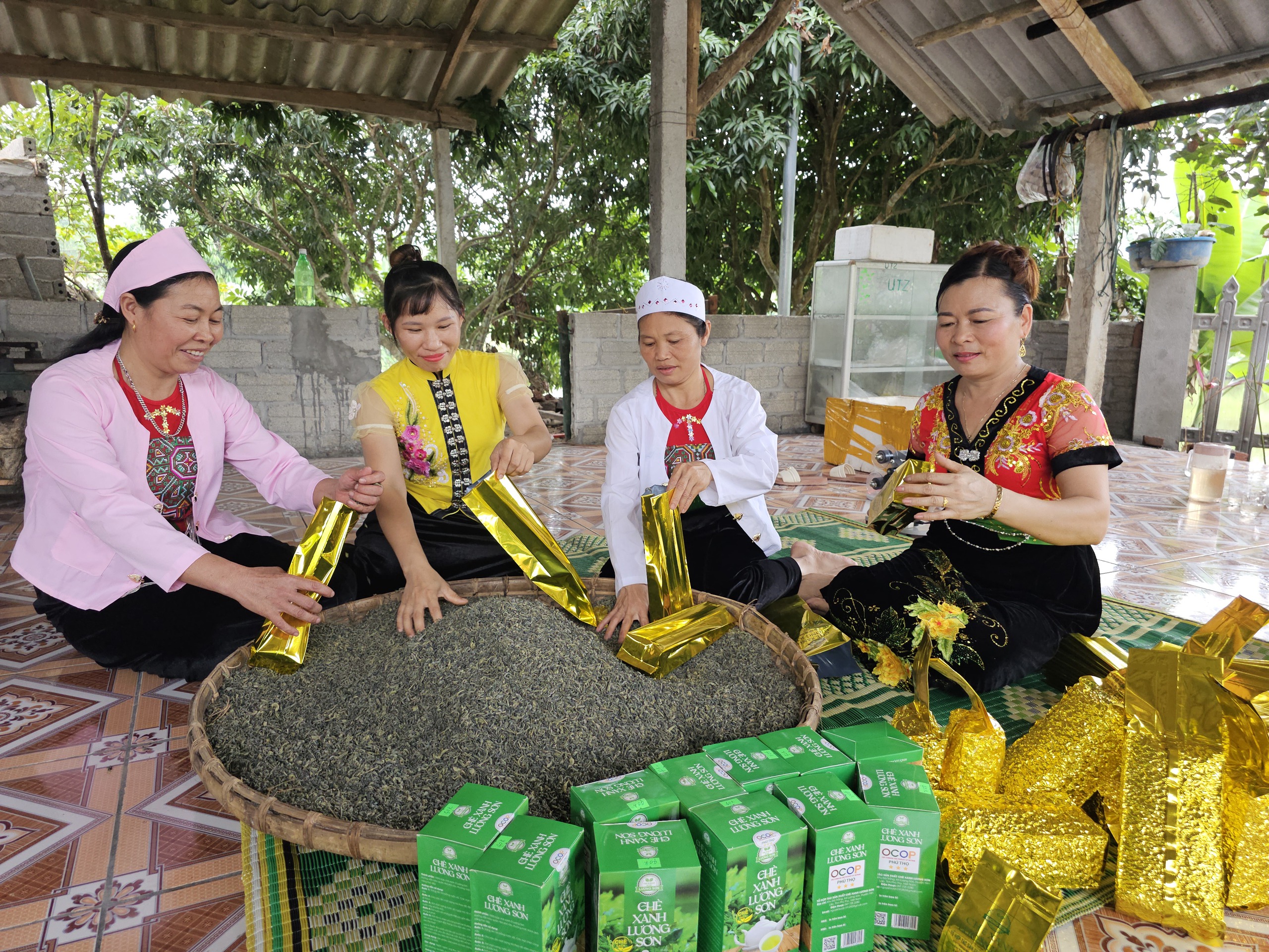 Điểm sáng từ mô hình Tổ hợp tác chè xanh- Ảnh 2. Điểm sáng từ mô hình Tổ hợp tác chè xanh- Ảnh 2.