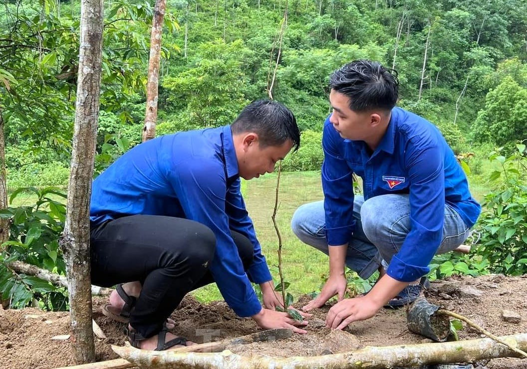 Những con số và hình ảnh ấn tượng của tuổi trẻ Nghệ An ra quân Chiến dịch tình nguyện Hè ảnh 12