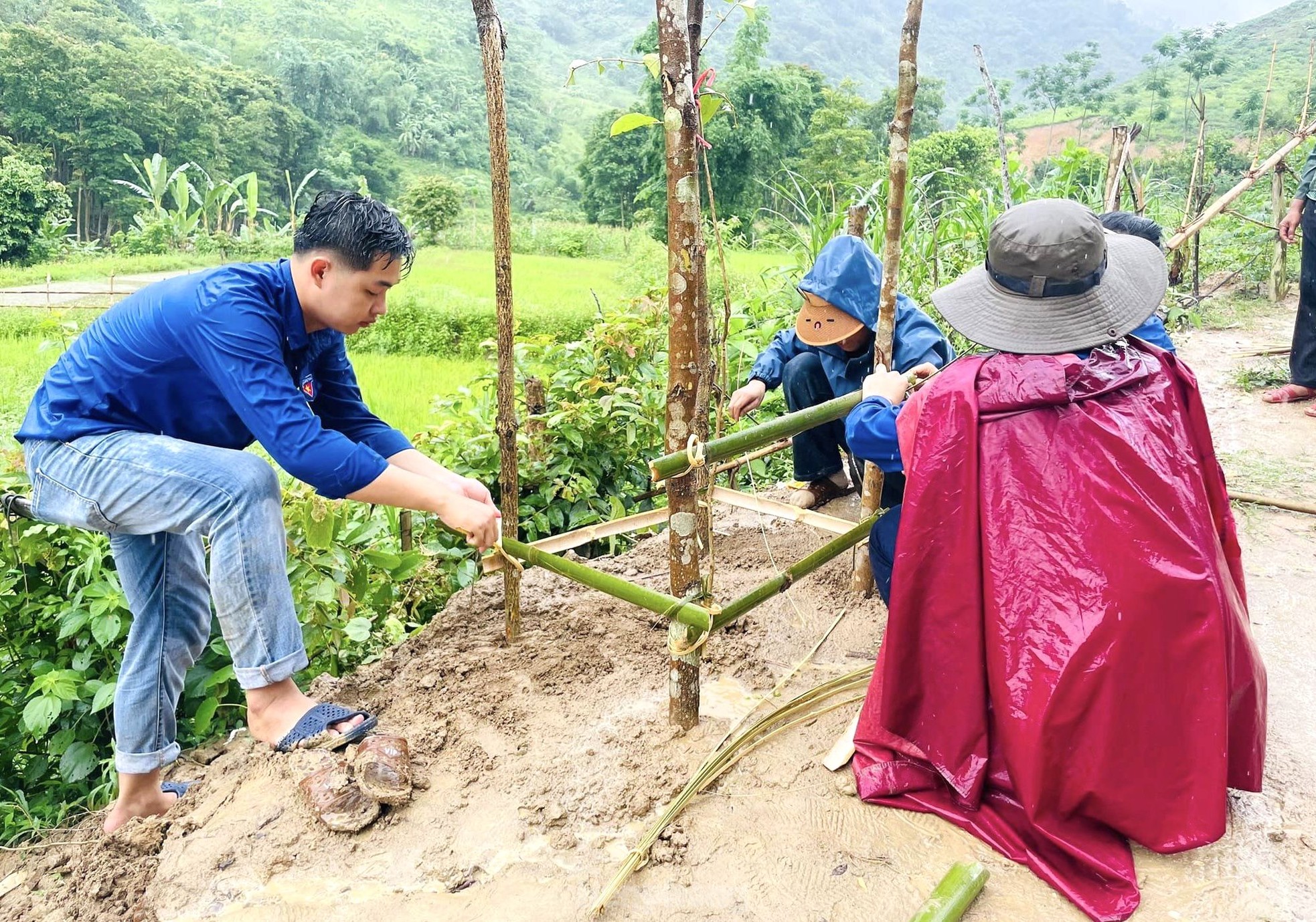 Những con số và hình ảnh ấn tượng của tuổi trẻ Nghệ An ra quân Chiến dịch tình nguyện Hè ảnh 13
