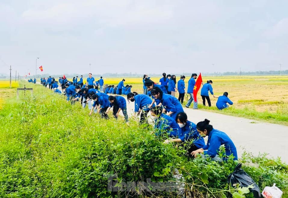Những con số và hình ảnh ấn tượng của tuổi trẻ Nghệ An ra quân Chiến dịch tình nguyện Hè ảnh 17