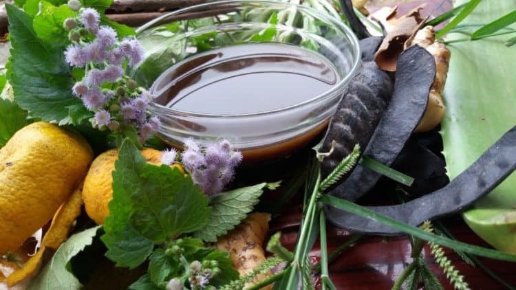 Cách dùng thảo dược làm nước gội đầu chống rụng tóc- Ảnh 3. Cách dùng thảo dược làm nước gội đầu chống rụng tóc- Ảnh 3.