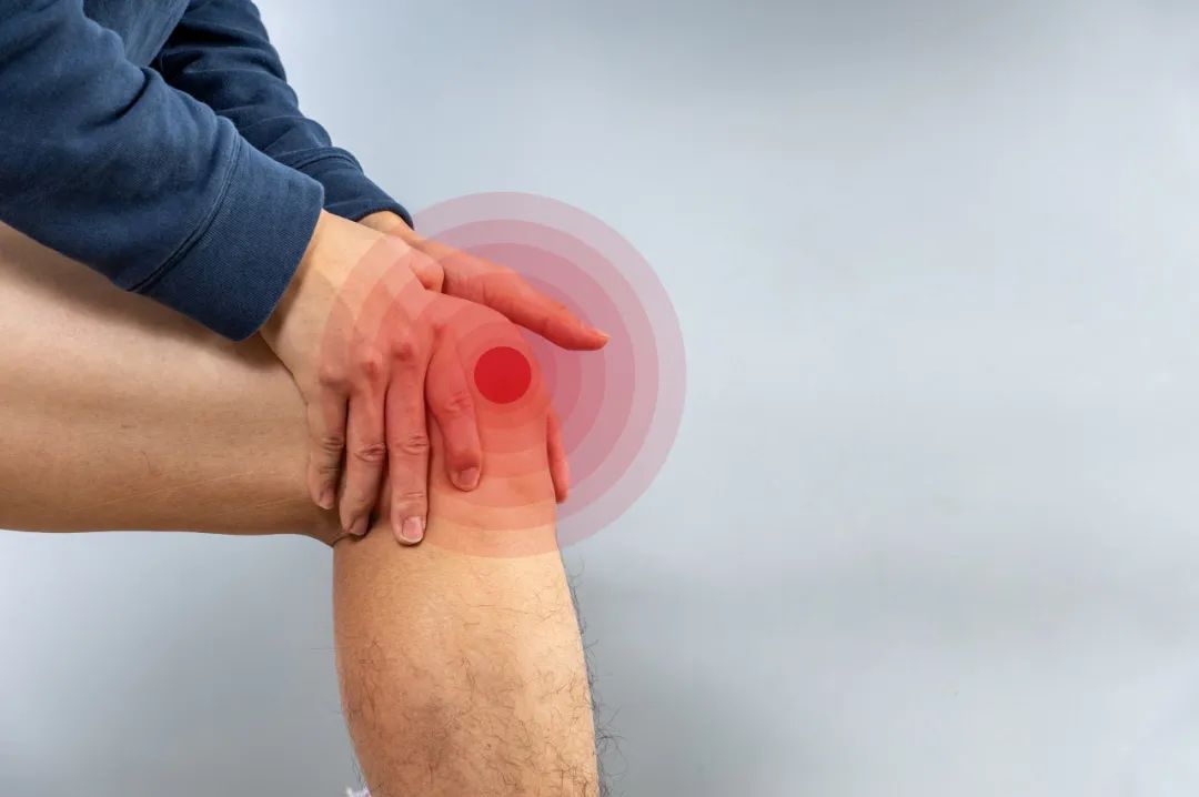 4 chất bổ sung giúp giảm đau khớp- Ảnh 1. 4 chất bổ sung giúp giảm đau khớp- Ảnh 1.
