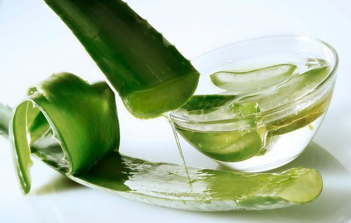 7 biện pháp giúp giảm ngứa da mùa hè- Ảnh 2. Lô hội làm đẹp da