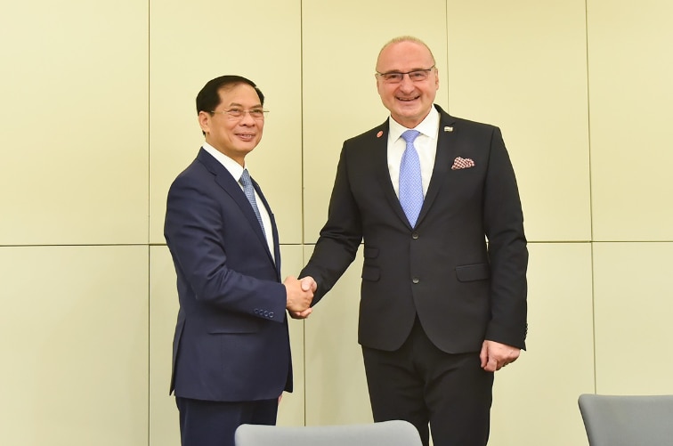 Bộ trưởng Bộ Ngoại giao Việt Nam gặp gỡ, tiếp xúc song phương tại Pháp