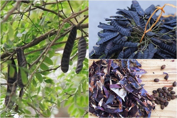 Cách dùng thảo dược làm nước gội đầu chống rụng tóc- Ảnh 1. Cách dùng thảo dược làm nước gội đầu chống rụng tóc- Ảnh 1.