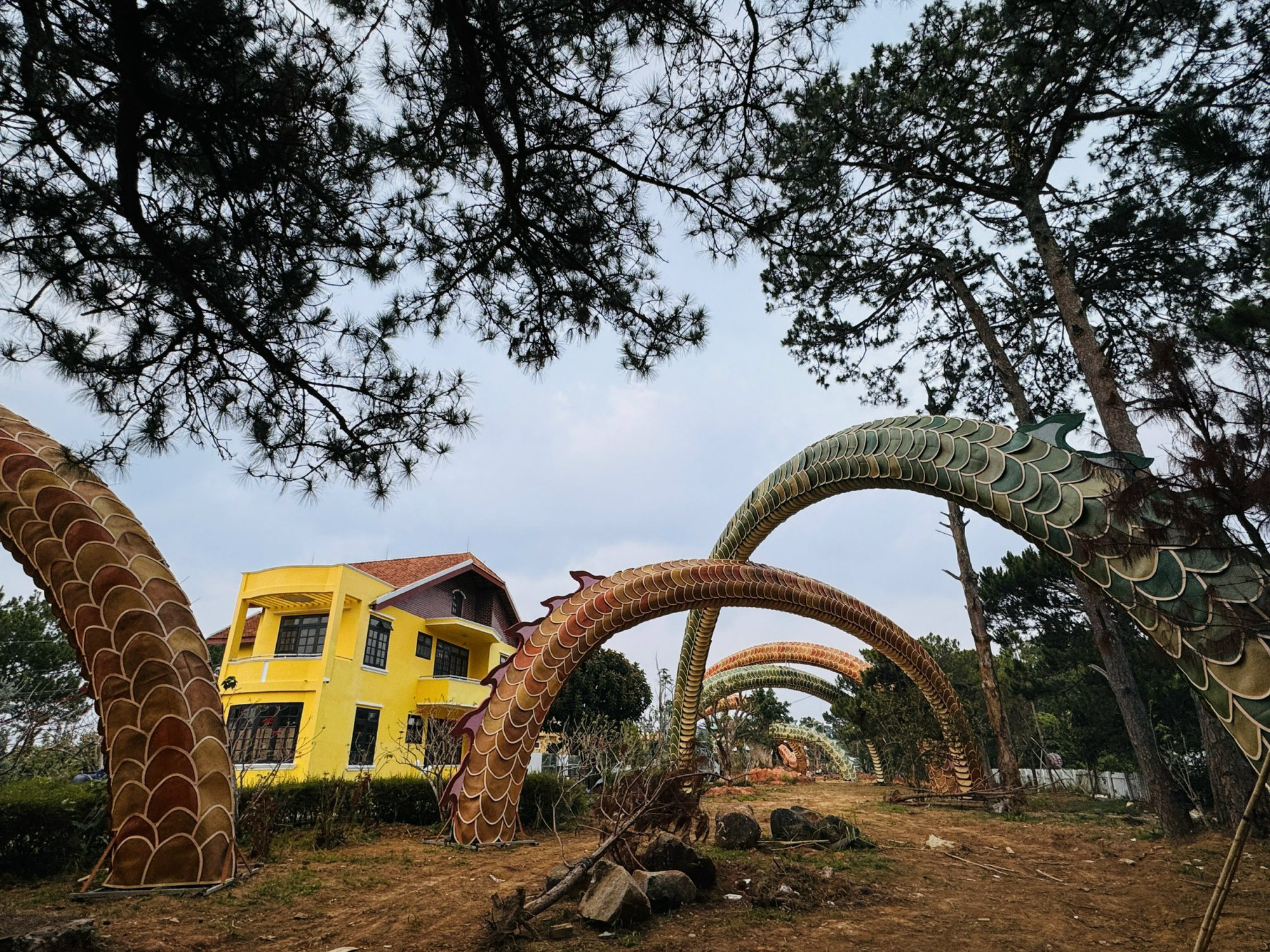 Cặp linh vật rồng biểu tượng đường hoa Nguyễn Huệ, TP.HCM bị buộc tháo dỡ khi lắp tại Đà Lạt- Ảnh 4. Cặp linh vật rồng biểu tượng đường hoa Nguyễn Huệ, TP.HCM bị buộc tháo dỡ khi lắp tại Đà Lạt- Ảnh 4.