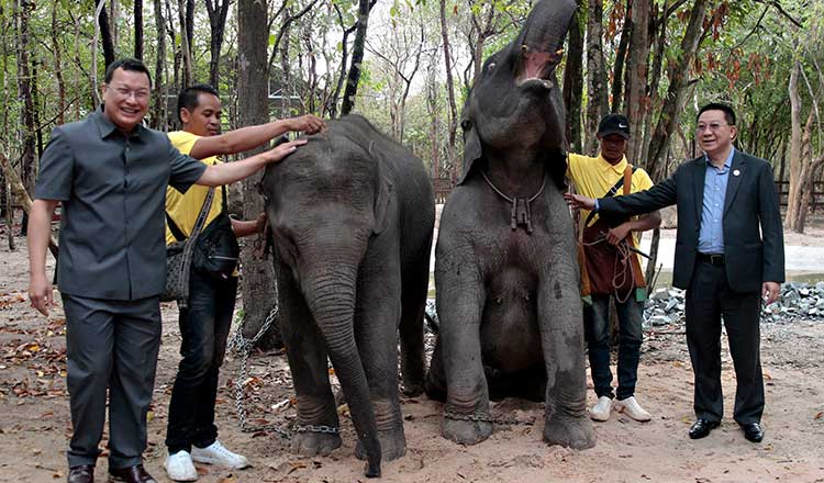 Chủ tịch nước Lào tặng cặp voi cho Quốc vương Campuchia- Ảnh 1.