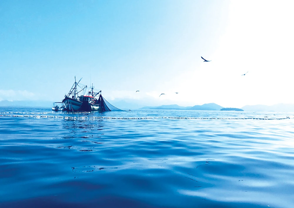 Các cơ quan giám sát hoạt động đánh bắt cá tận dụng dữ liệu vệ tinh và AI để ngăn chặn hoạt động bất hợp pháp trên biển. Ảnh: GFW