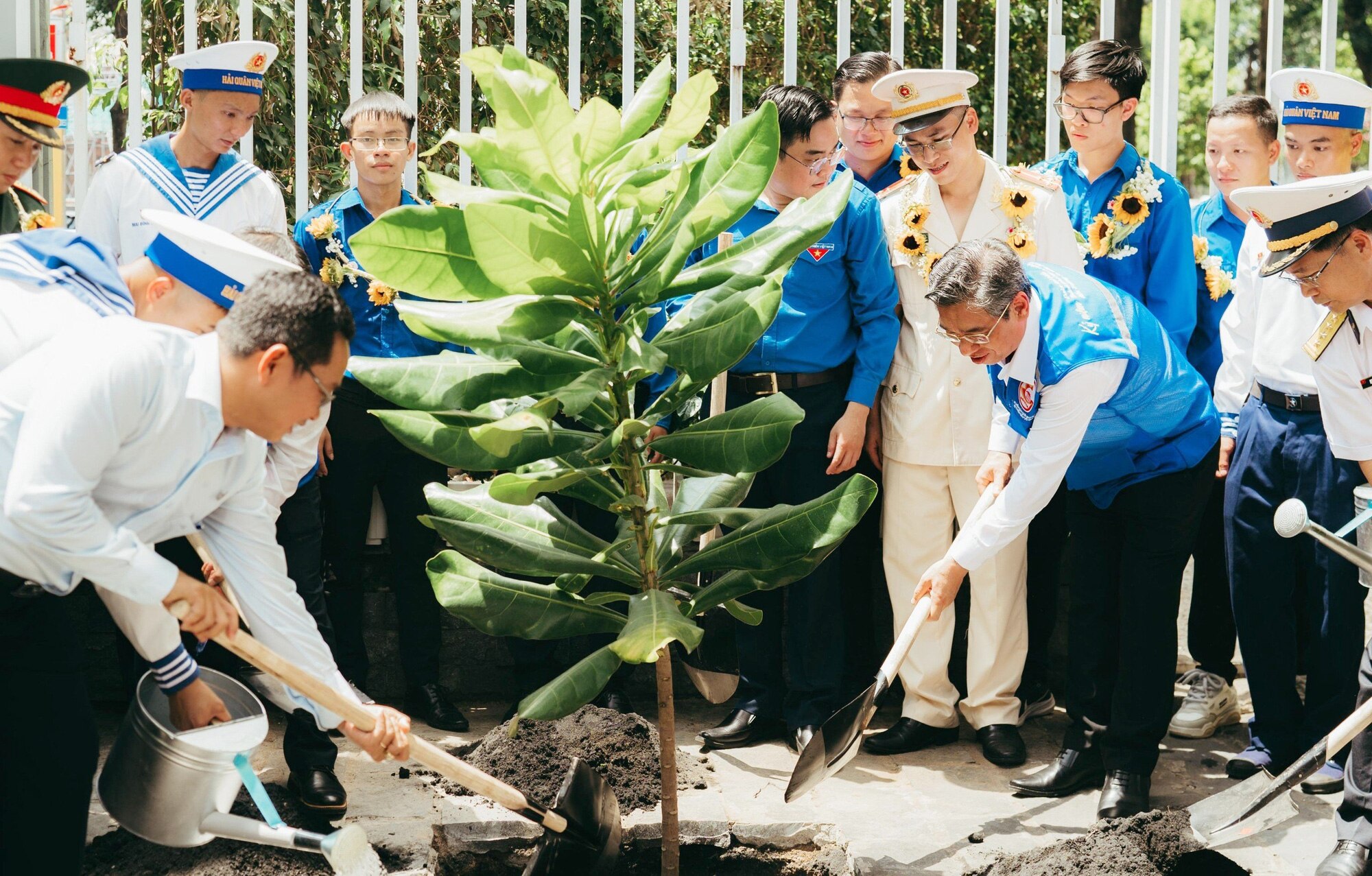 Đại diện lãnh đạo TP.HCM cùng các đại biểu thanh niên tiên tiến trồng cây bàng vuông trong khuôn viên cơ quan Thành Đoàn TP.HCM - Ảnh: THANH HIỆP