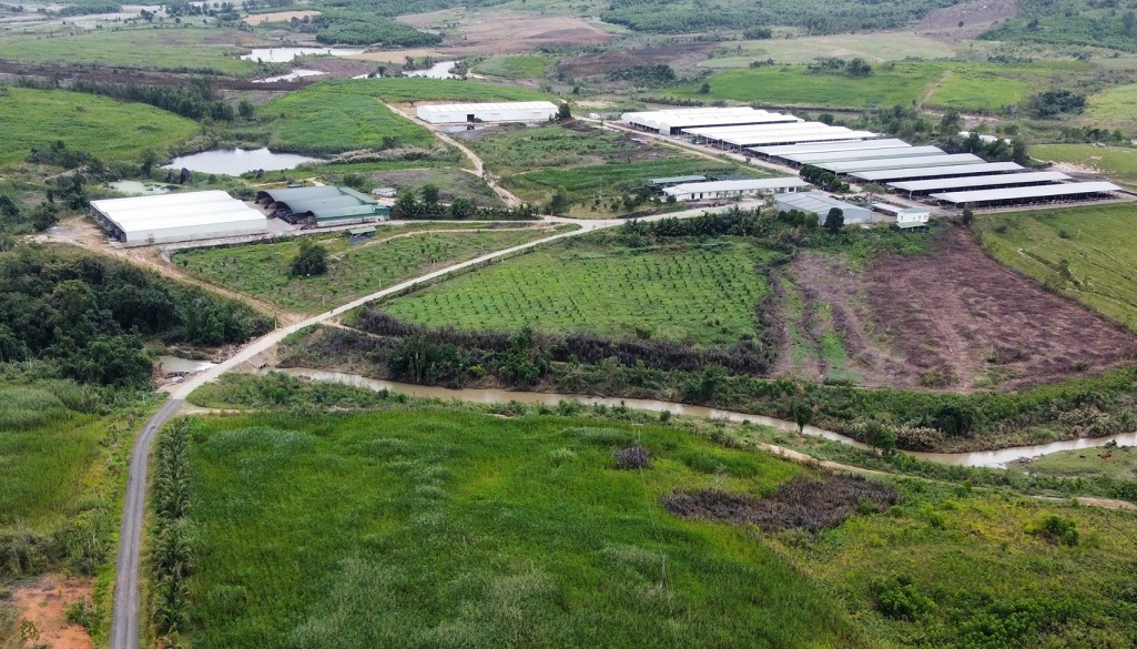 Đắk Lắk chật vật đòi hơn 55 tỉ đồng doanh nghiệp tạm ứng ngân sách- Ảnh 1. Đắk Lắk chật vật đòi hơn 55 tỉ đồng doanh nghiệp tạm ứng ngân sách- Ảnh 1.