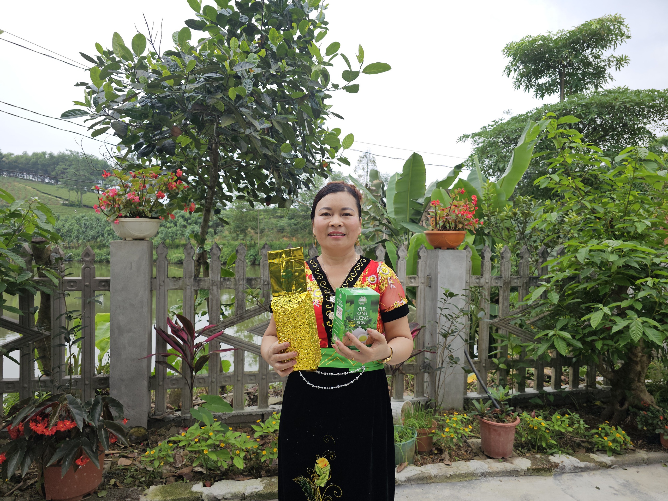Điểm sáng từ mô hình Tổ hợp tác chè xanh- Ảnh 1. Điểm sáng từ mô hình Tổ hợp tác chè xanh- Ảnh 1.