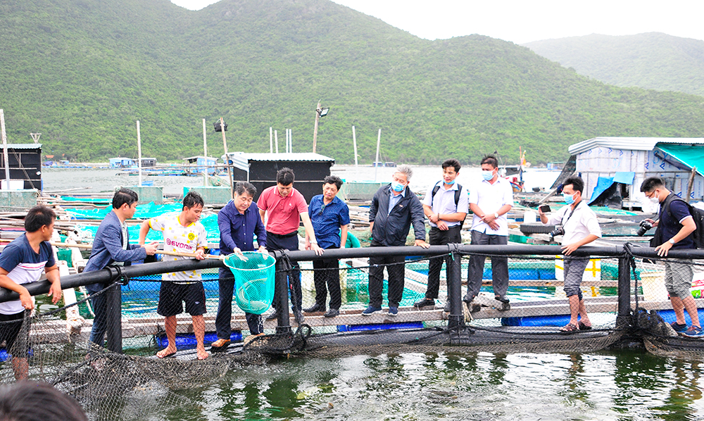 Đưa Việt Nam trở thành quốc gia có nghề cá phát triển bền vững, hiện đại vào năm 2050- Ảnh 1. Đưa Việt Nam trở thành quốc gia có nghề cá phát triển bền vững, hiện đại vào năm 2050- Ảnh 1.