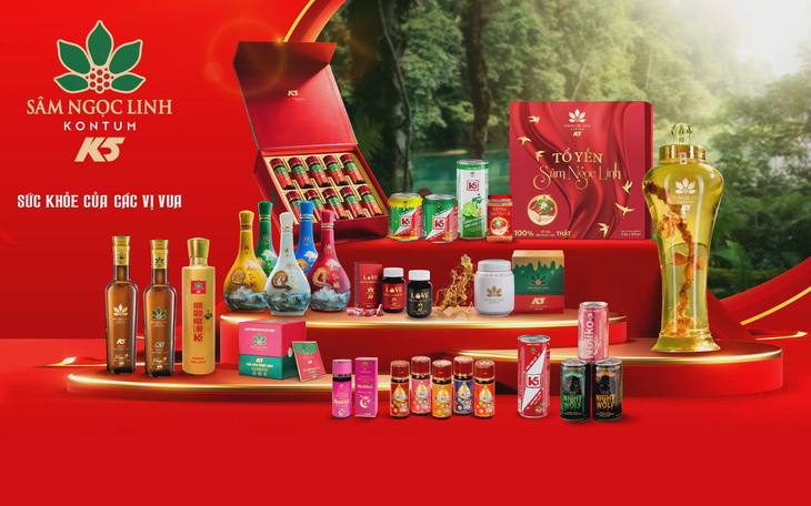 Đưa tri thức dân gian trồng, chế biến sâm Ngọc Linh vào danh mục di sản văn hóa phi vật thể quốc gia- Ảnh 4. Sâm Ngọc Linh K5 mang cả rừng sâm về phố