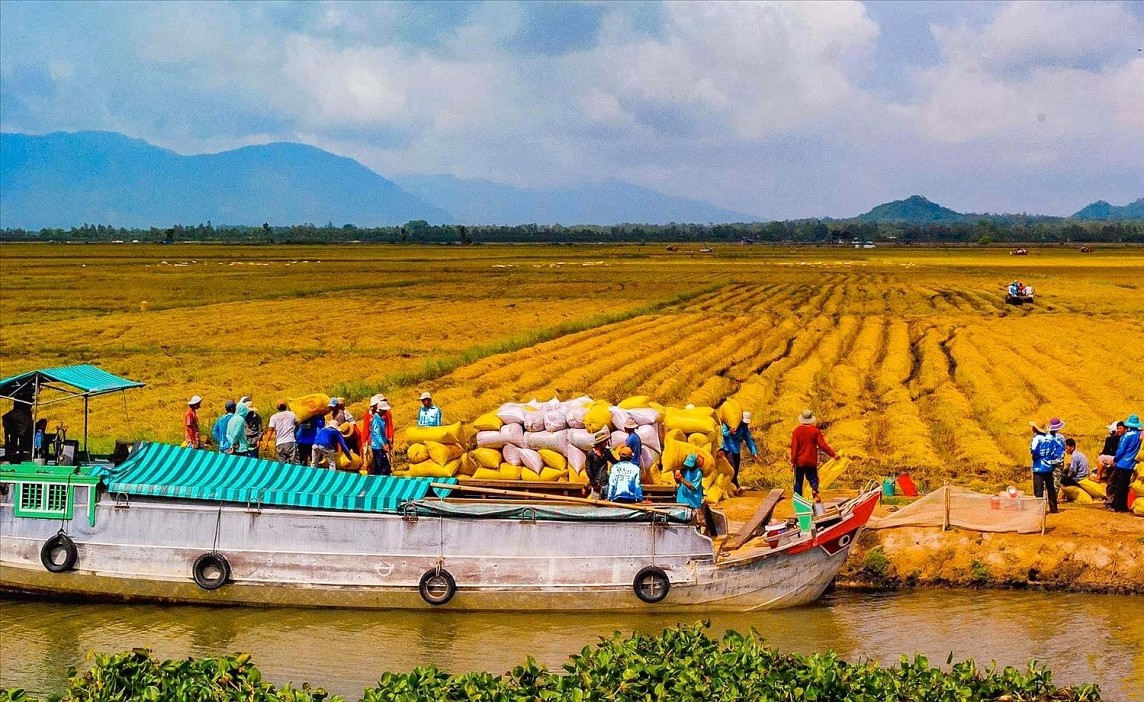  vựa lúa Đồng bằng sông Cửu Long