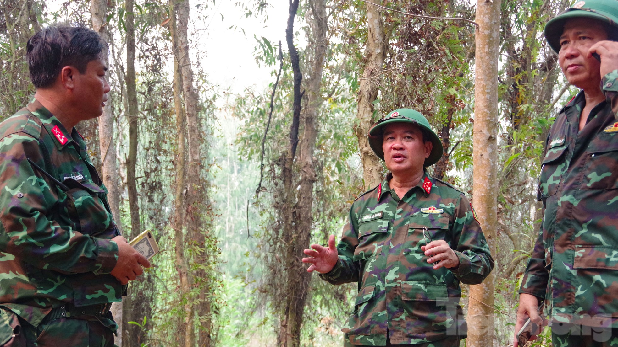 Gần 100 giờ chiến đấu với 'giặc lửa', khống chế vụ cháy rừng ở Kiên Giang ảnh 3