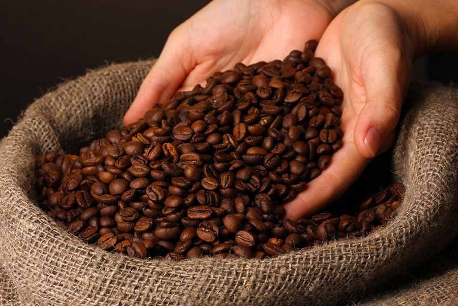 Giá cà phê Robusta và Arabica đồng loạt tăng liệu có bước vào chu kỳ mới?