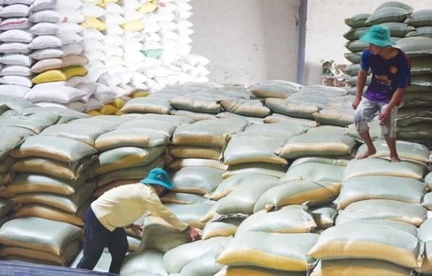 Giá xuất khẩu gạo bình quân từ đầu năm đạt 644 USD/tấn, tăng 22,2%.