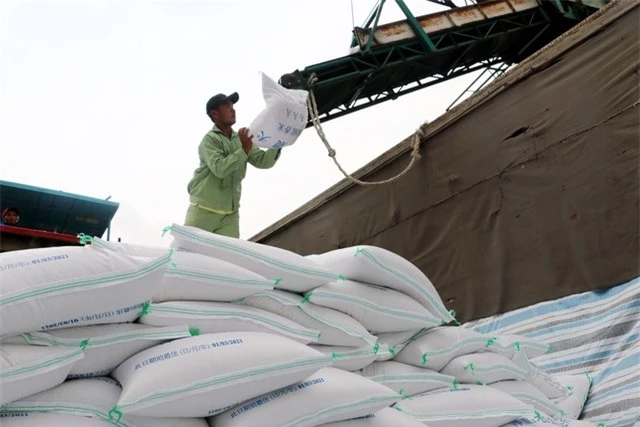 Giá gạo xuất khẩu tăng trở lại - Ảnh 1. Giá gạo xuất khẩu tăng trở lại - Ảnh 1.