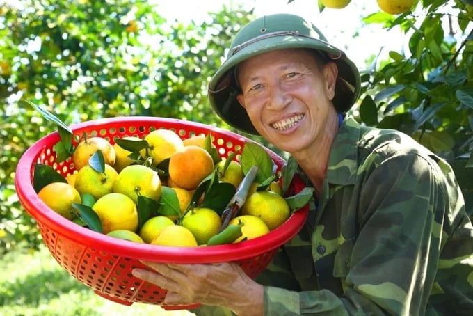 Sản xuất nông nghiệp theo hướng hữu cơ của Hà Tĩnh những năm qua đã có những chuyển biến tích cực. Ảnh: Ánh Nguyệt.