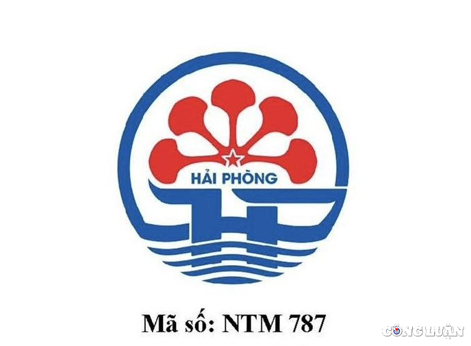 hai phong nhat tri lua chon bieu tuong thanh pho hinh 2