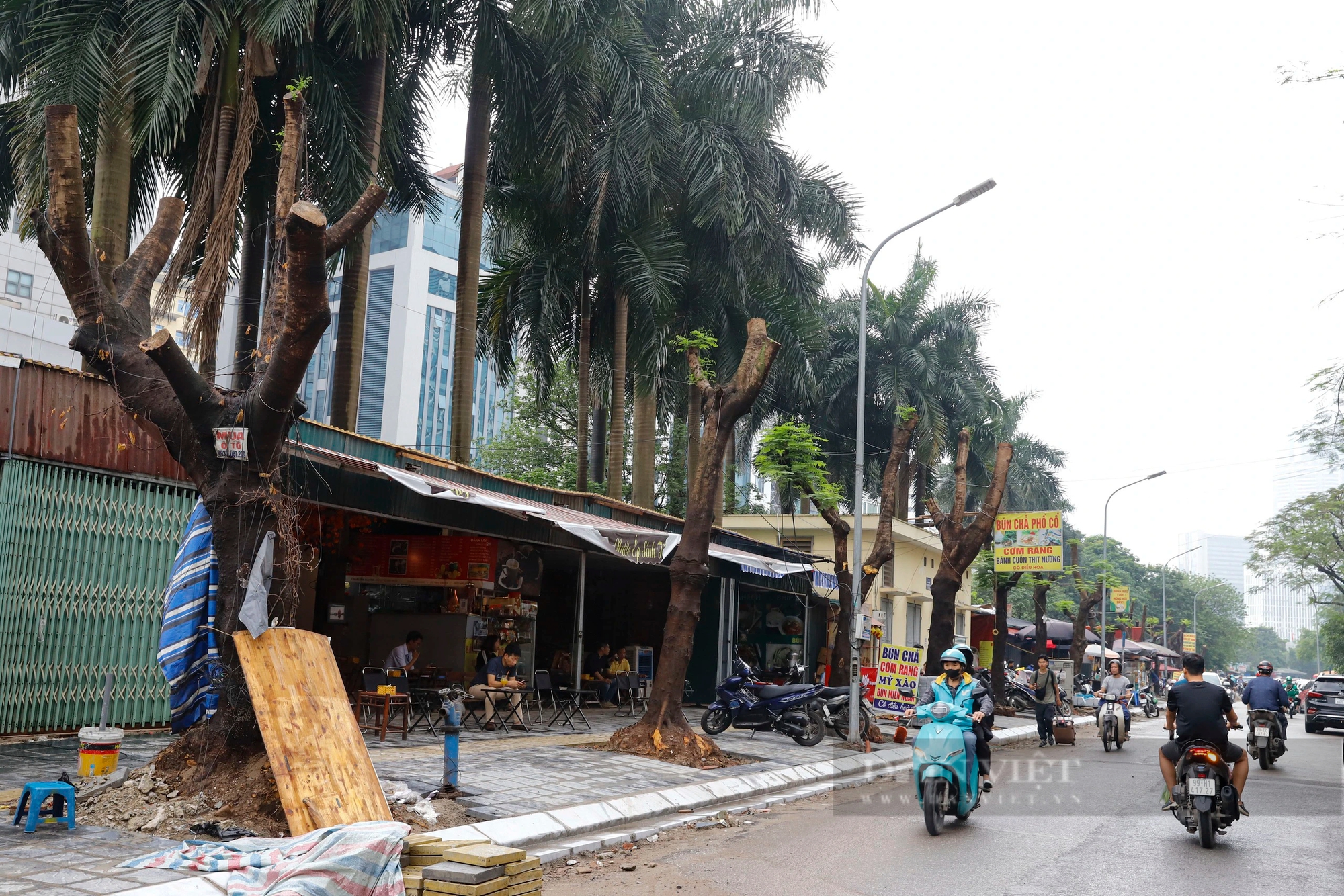 Hàng loạt cây xanh phủ bóng mát bị cắt tỉa trơ trụi giữa mùa hè tại Hà Nội- Ảnh 1. Hàng loạt cây xanh phủ bóng mát bị cắt tỉa trơ trụi giữa mùa hè tại Hà Nội- Ảnh 1.