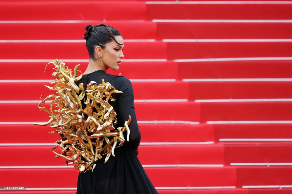 Hoa hậu Hoàn vũ gây chú ý với váy lạ mắt trên thảm đỏ Cannes ảnh 1