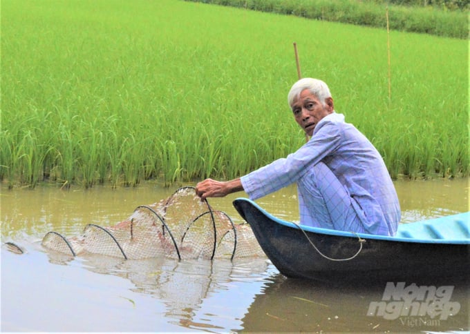 Kiên Giang có diện tích sản xuất luân canh lúa - tôm trên 100 ngàn ha, là môi trường thuận lợi để sản xuất nông nghiệp hữu cơ. Ảnh: Trung Chánh.