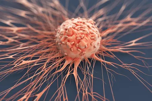 Loại rau được 35 nghiên cứu xác nhận có khả năng chống ung thư- Ảnh 1.
