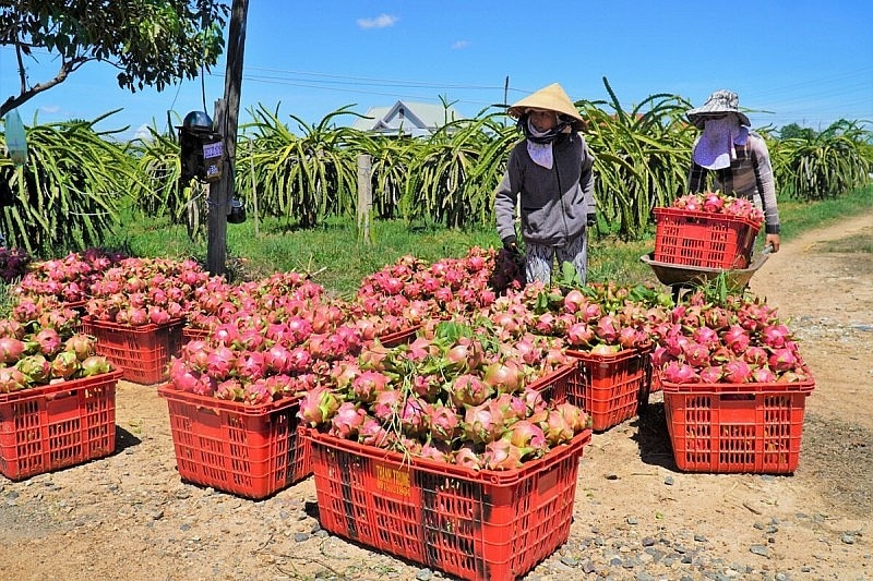 EU hiện là thị trường lớn thứ 3 của nông sản, thực phẩm Việt Nam