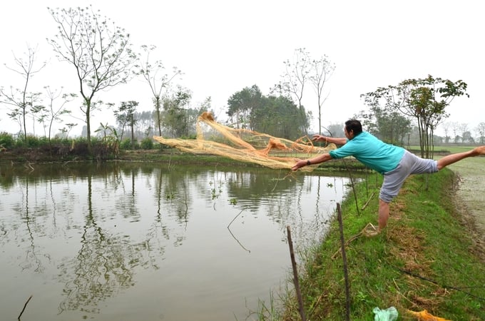 Ông Vũ tung chài bắt cá. Ảnh: Dương Đình Tường.