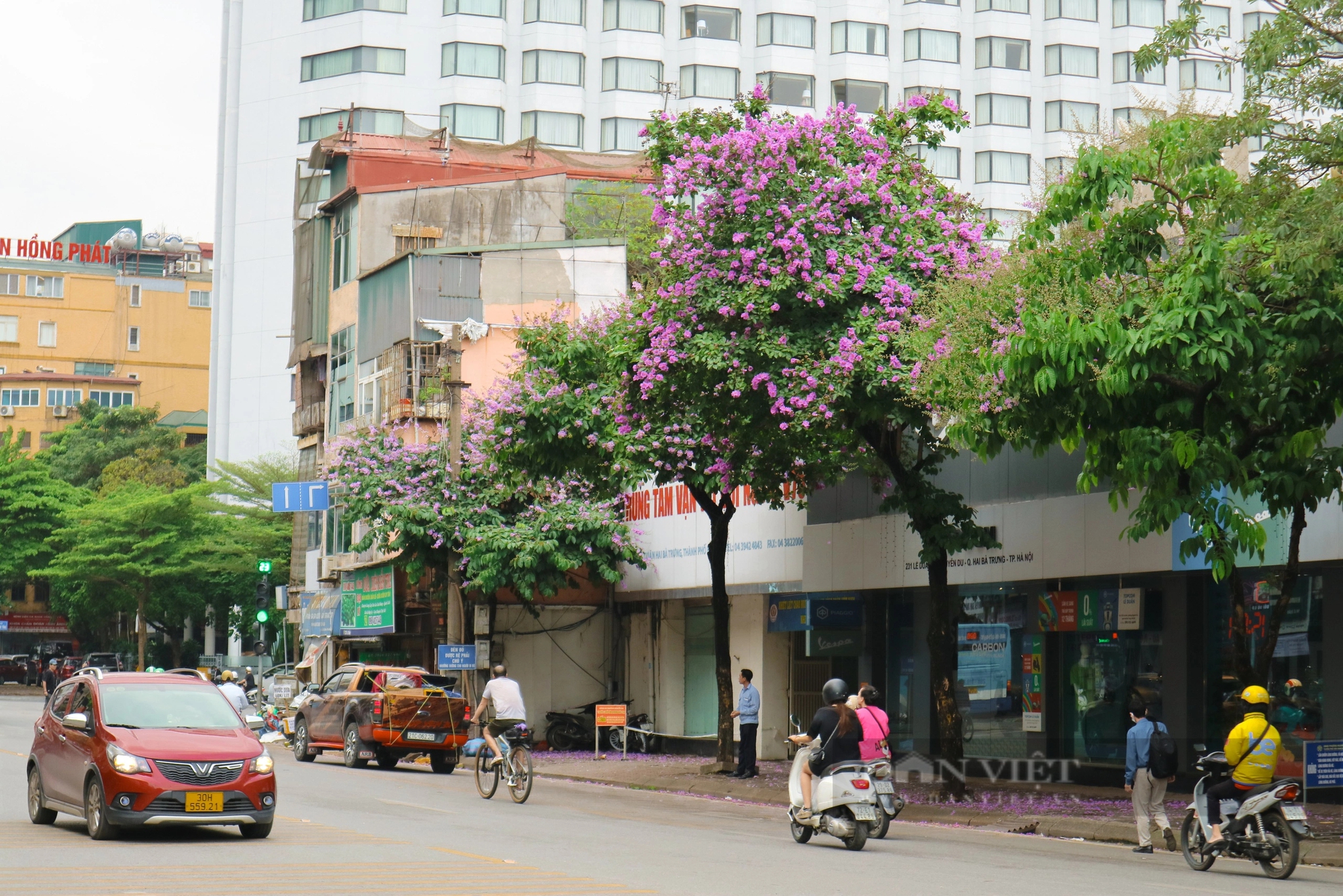 Ngắm loài hoa Ngắm loài hoa