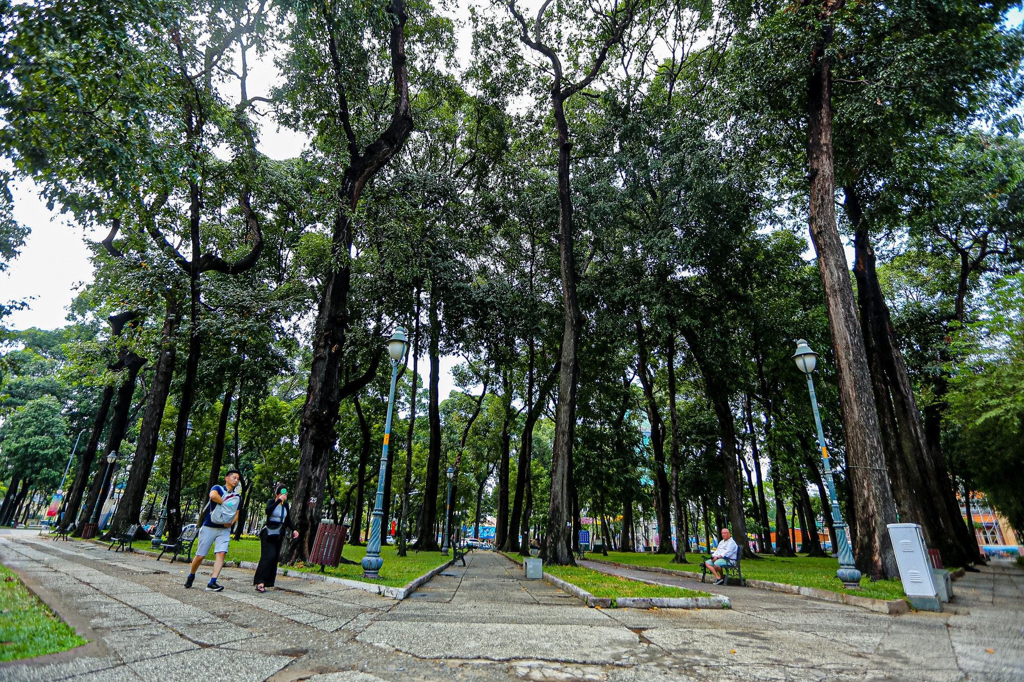 Ngắm những công viên cây xanh rộng lớn, điểm trốn nắng lý tưởng giữa lòng TP.HCM- Ảnh 2.