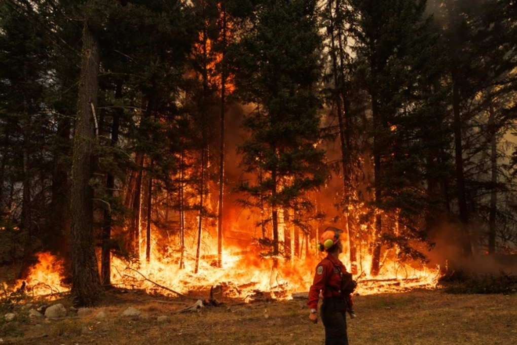 Nguyên nhân cháy rừng bùng lên dữ dội ở Canada - 1