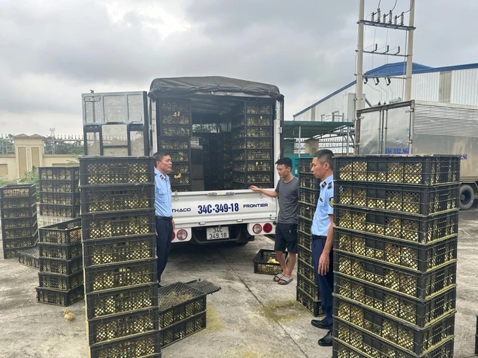 Nhập lậu gia cầm vẫn tiếp diễn, 3 tỉnh Quảng Ninh, Lạng Sơn, Lào Cai cần quyết liệt ngăn chặn, xử lý- Ảnh 1. Nhập lậu gia cầm vẫn tiếp diễn, 3 tỉnh Quảng Ninh, Lạng Sơn, Lào Cai cần quyết liệt ngăn chặn, xử lý- Ảnh 1.