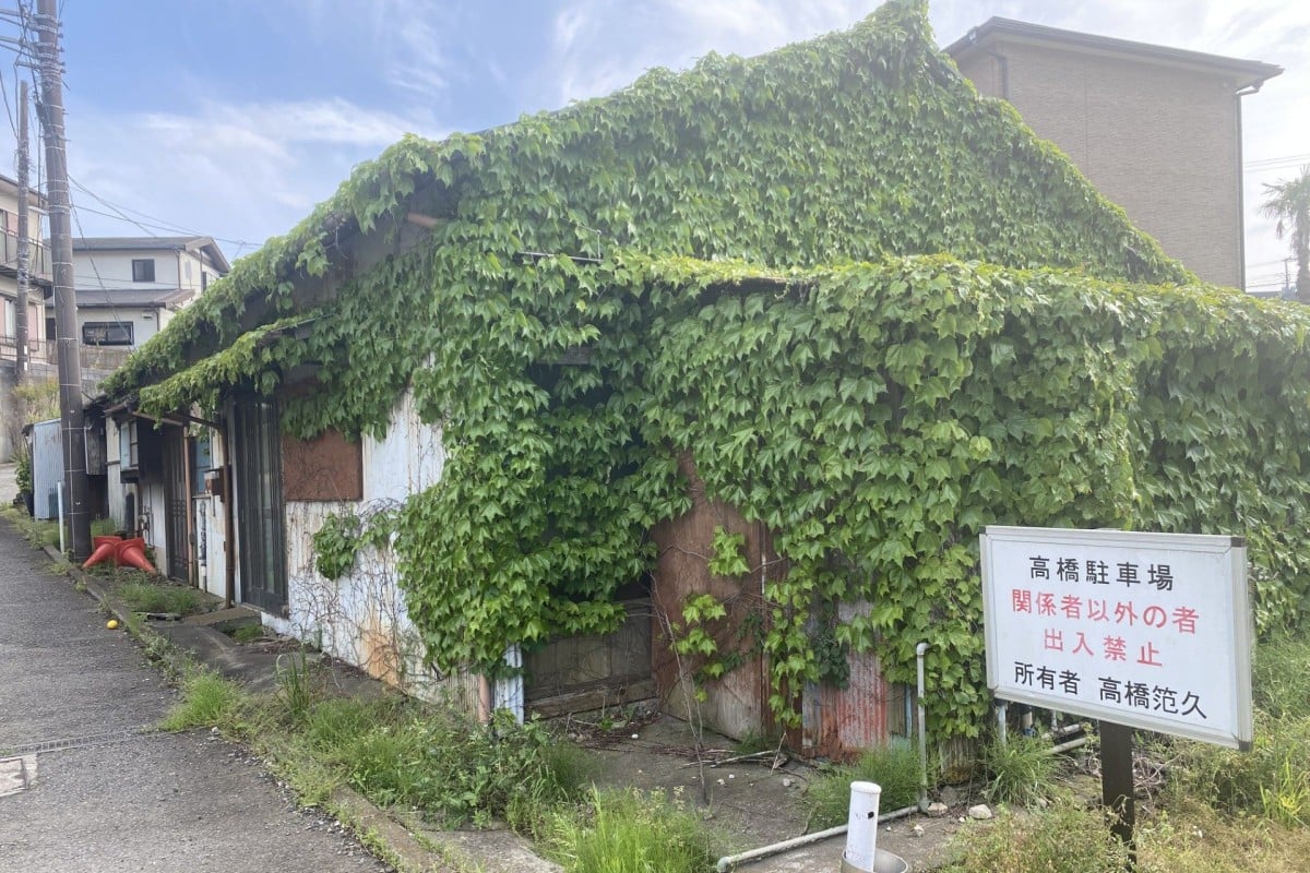 Cỏ mọc um tùm tại một căn nhà hoang tại Nhật Bản