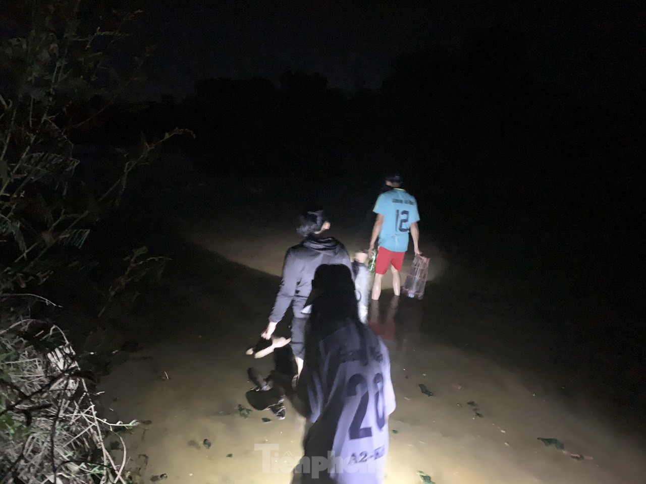 Nước sông cạn, người dân đội đèn bắt cá trong đêm ảnh 1
